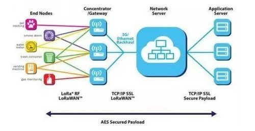 航順芯片 醫(yī)療芯片出貨領(lǐng)跑，物聯(lián)網(wǎng)賽道聚焦智慧計量新藍(lán)海